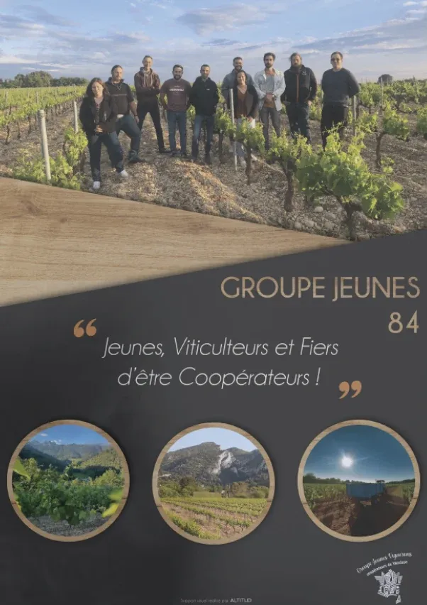 L'affiche des Jeunes Vignerons du Vaucluse
